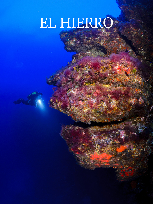 el hierro