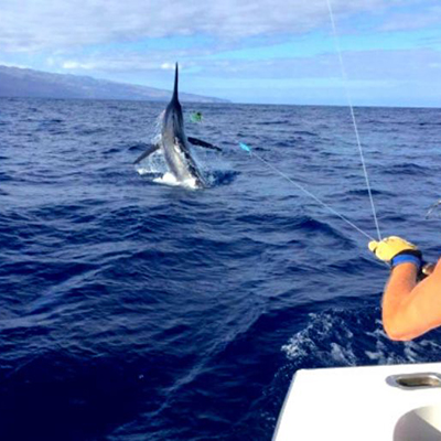go fishing in la gomera