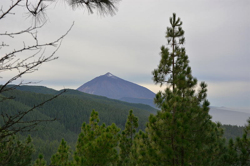 teide from la esperanza teide hiking